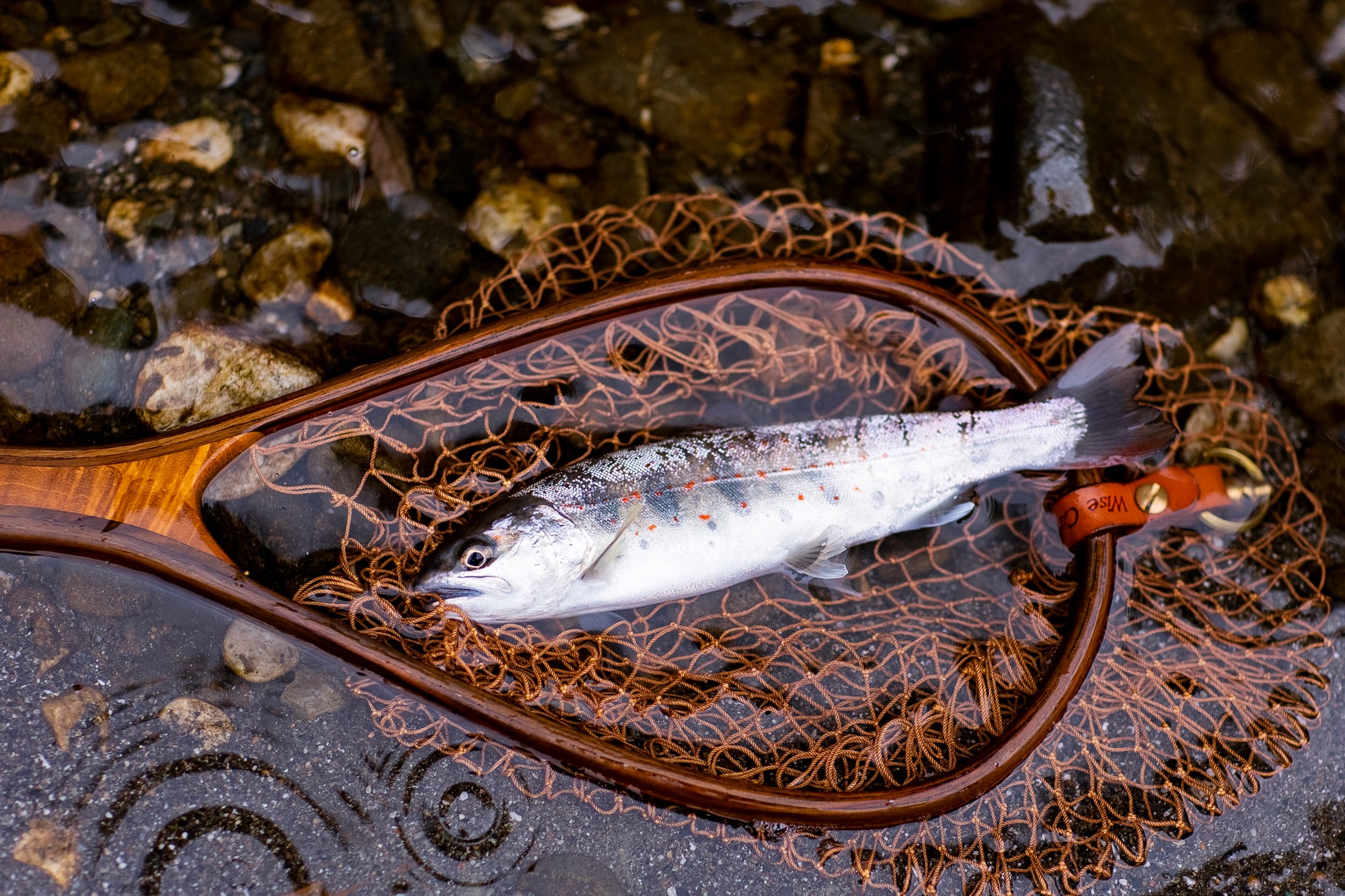 釣魚
