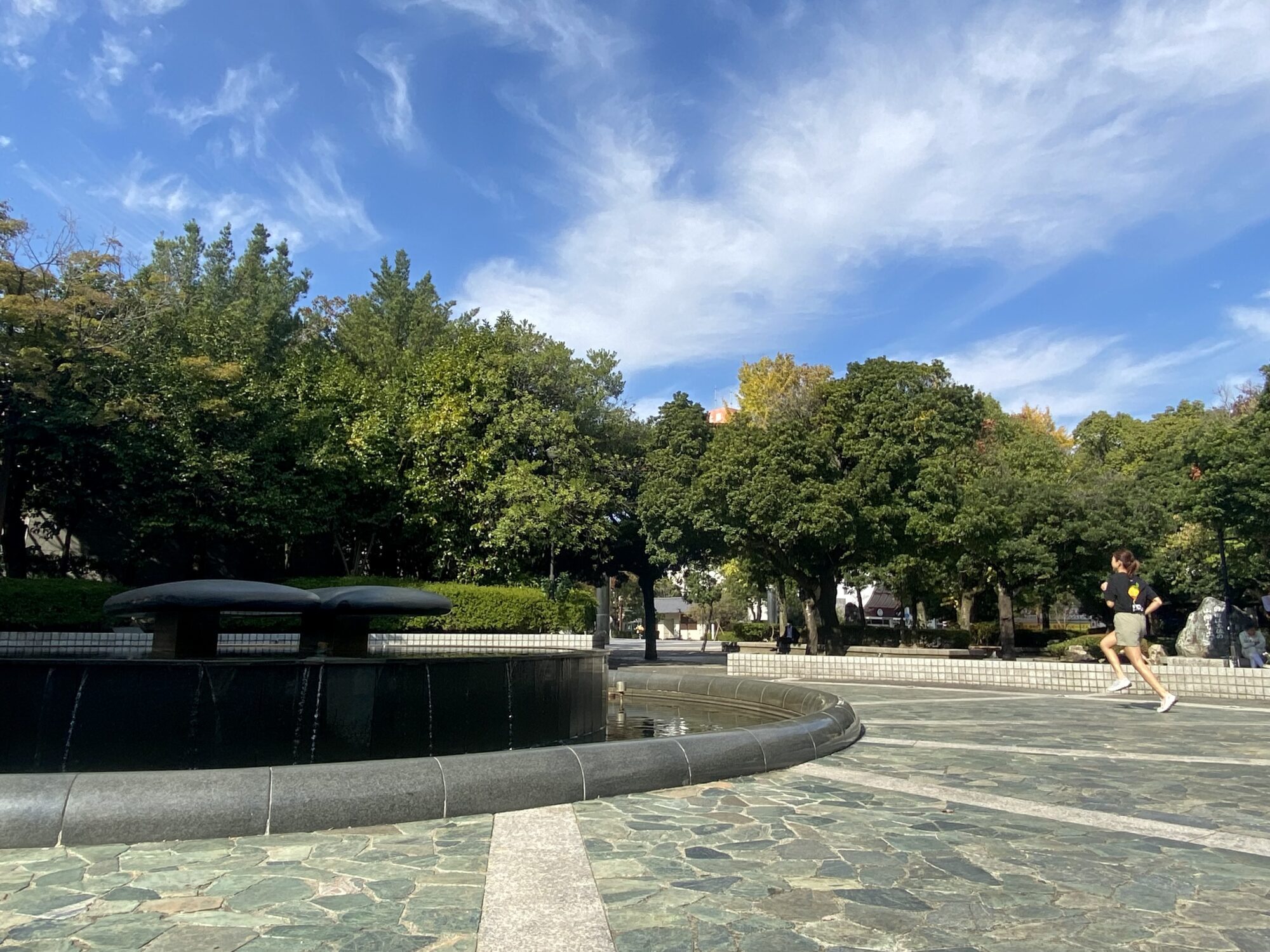 中央公園、噴泉