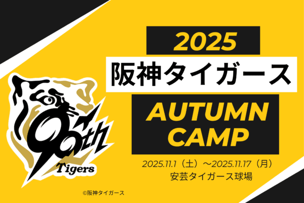 阪神老虎2025高知秋季露營